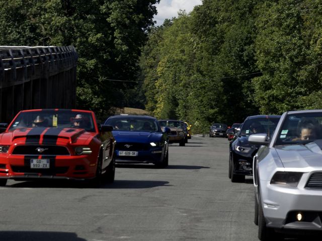 Un convoi de Mustang sur une route bordée d'arbres.